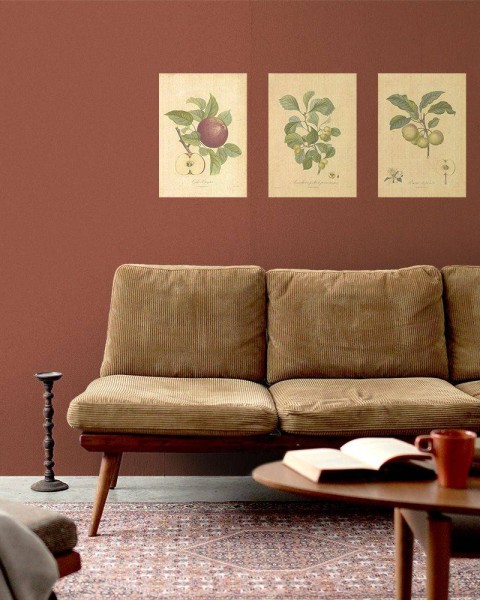 Flax Art Poster | Encyclopedia Apple B | FWP-AP-EN6B